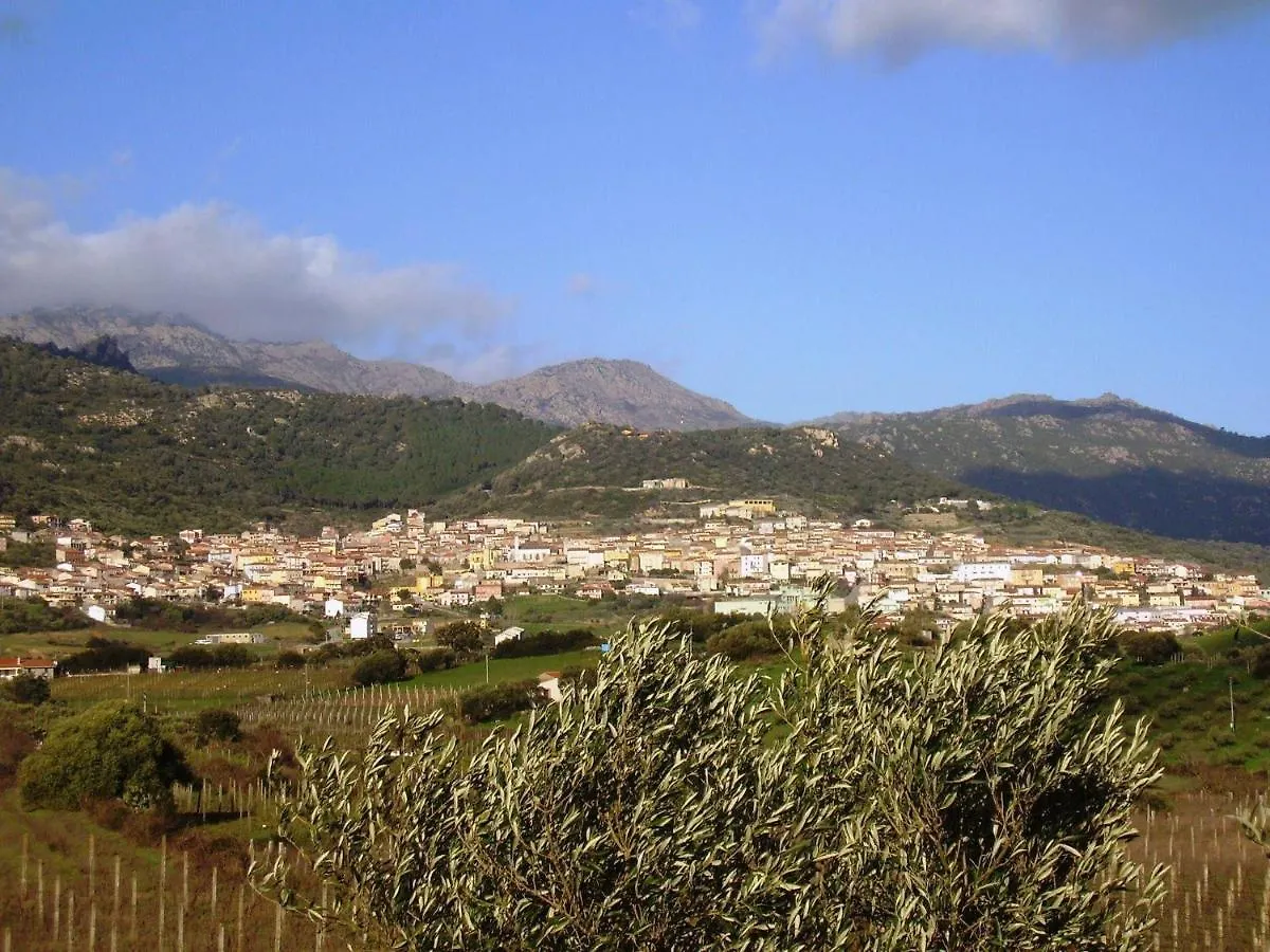 Semesterbostad La Casa Nell'Oliveto Villa Berchidda