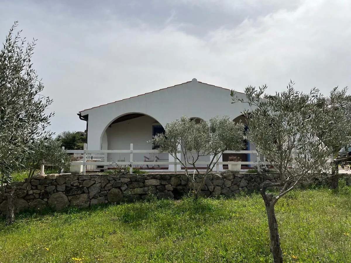 La Casa Nell'Oliveto Villa Berchidda 0*,