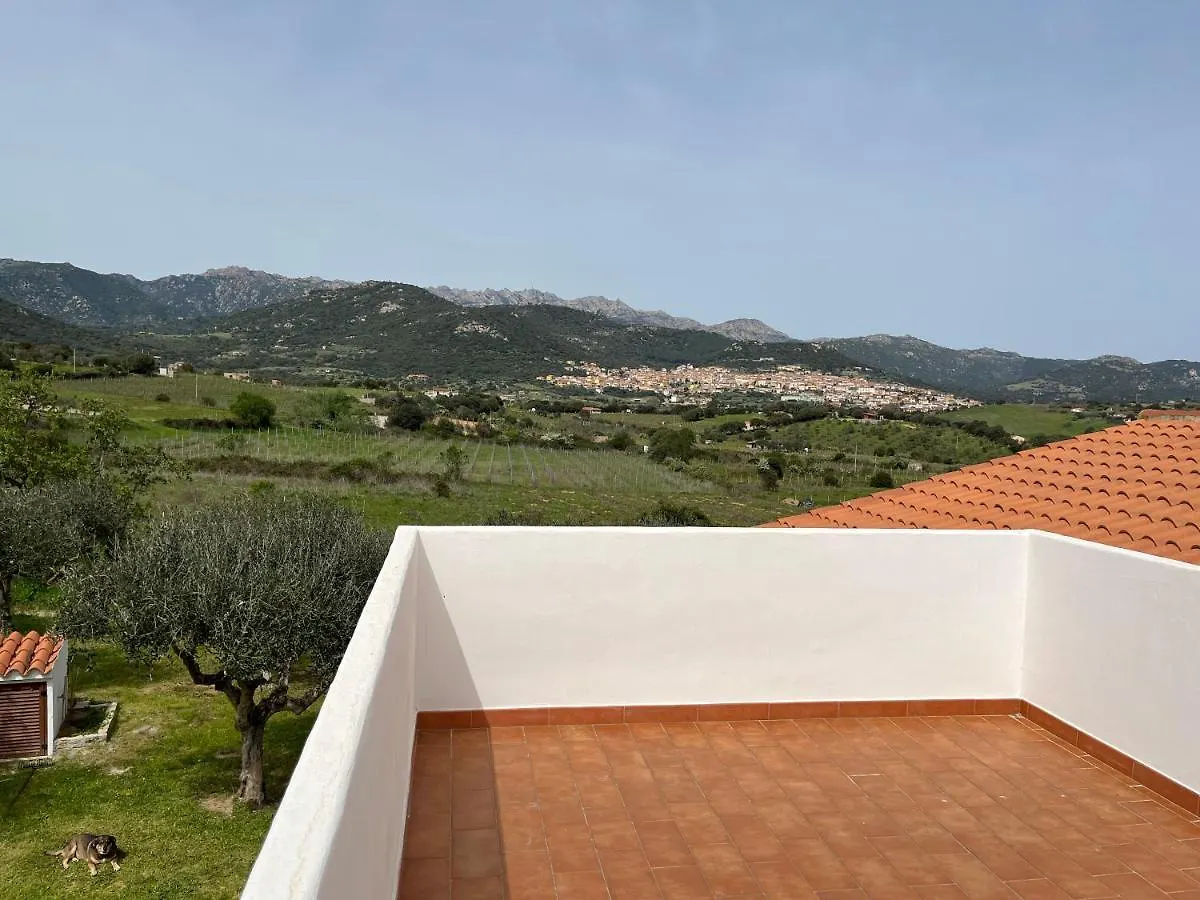 La Casa Nell'Oliveto Villa Berchidda Semesterbostad