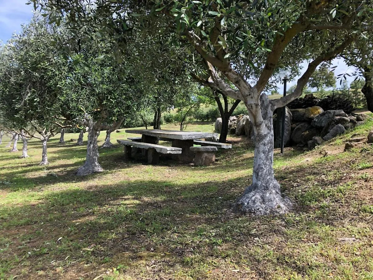 La Casa Nell'Oliveto Villa Berchidda
